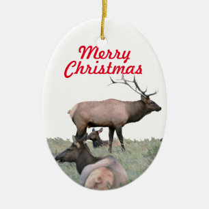 Ceramic ornament of elk