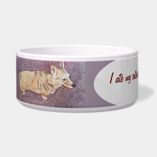 Ceramic Pet Bowl
