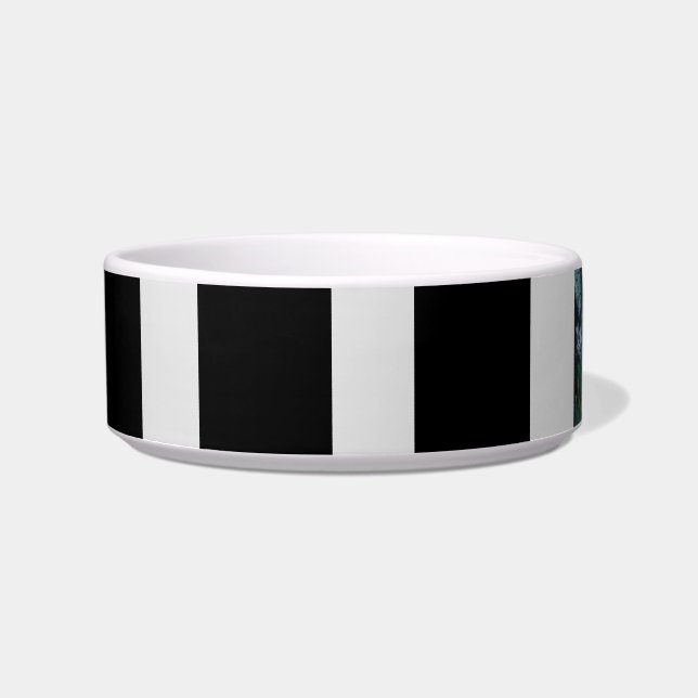 Ceramic Pet Bowl (Front)
