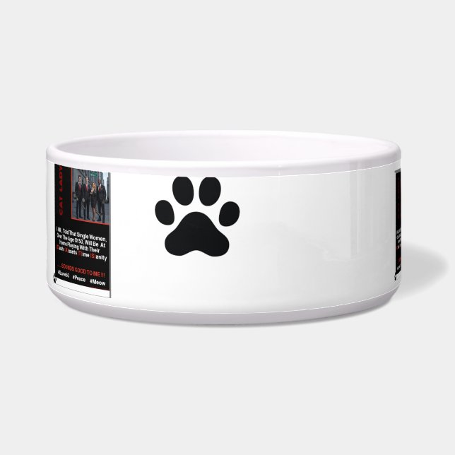 Ceramic Pet Bowl (Left)