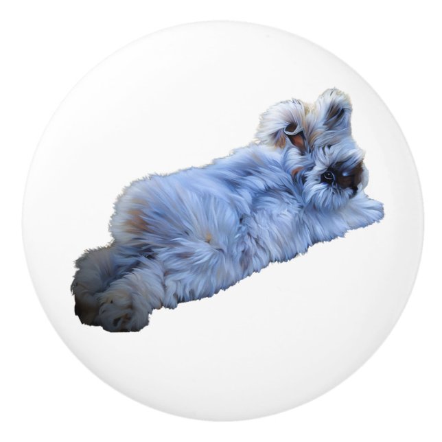 Ceramic Pull (Front)