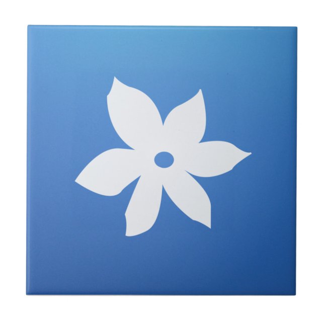 Ceramic Tile (Front)