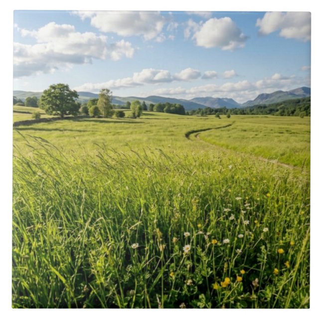 Ceramic Tile (Front)