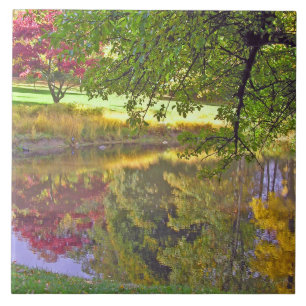 CERAMIC TILE/BEAUTIFUL COLORS REFLECTED IN POND TILE