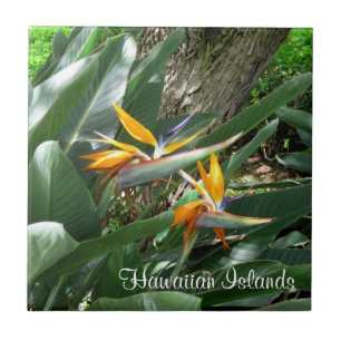 Ceramic Tile-Bird of Paradise Tile