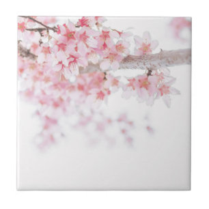 CERAMIC TILE : CHERRY BLOSSOM