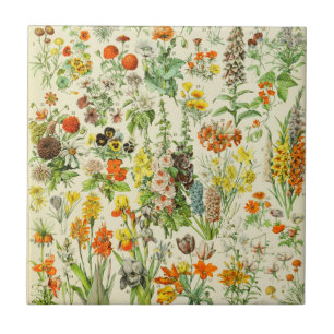 Ceramic Tile Field of Flowers