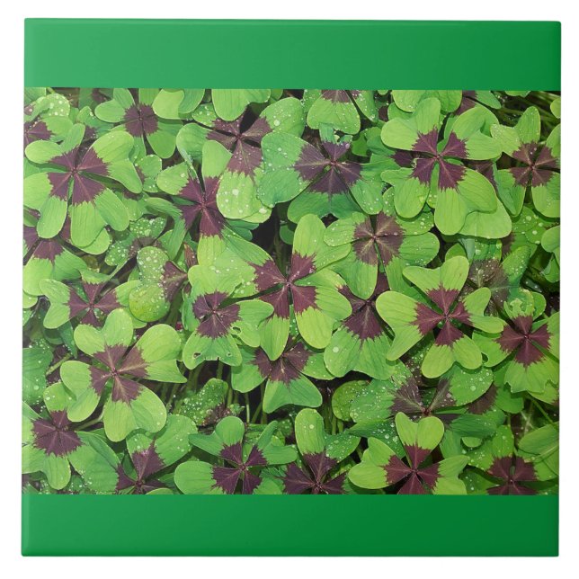 Ceramic tile Four Leaf Clover (Front)
