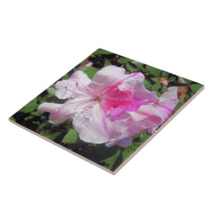 Ceramic Tile - George Taber Azalea