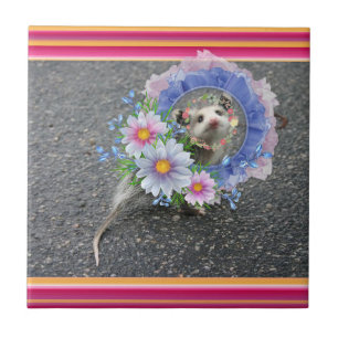Ceramic Tile Opossum Floral Stripe
