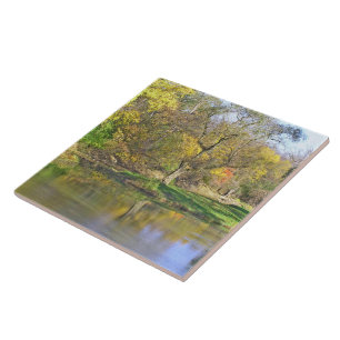 ceramic tile/PEACEFUL SCENE TREES BY POND" Tile
