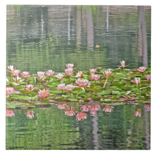 CERAMIC TILE/ PINK LOTUS BLOSSOMS/POND REFLECTIONS TILE