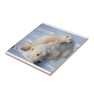 Ceramic Tile Polar Bear
