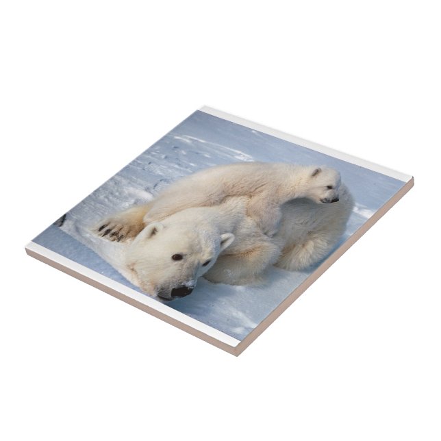 Ceramic Tile Polar Bear (Side)