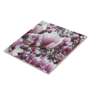 Ceramic Tile - Saucer Magnolia