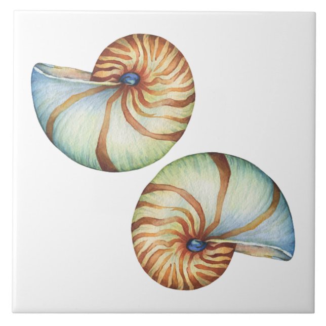Ceramic Tile - Sea Shells (Front)