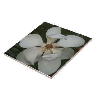 Ceramic Tile - Southern Magnolia Blossom II