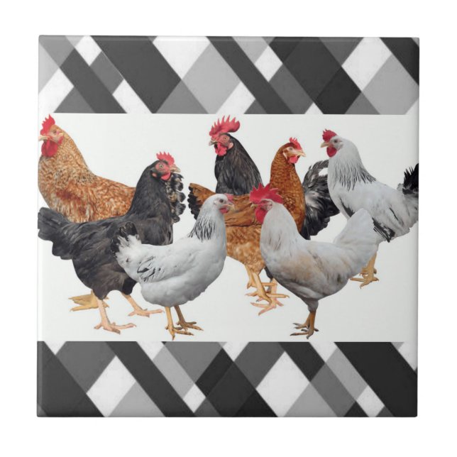 Ceramic Tile White Black Plaid Chickens (Front)