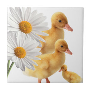 Ceramic Tile White Daisy Floral