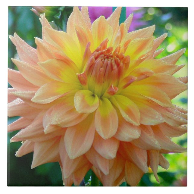 CERAMIC TILE WITH PEACH-COLORED DAHLIA (Front)