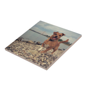 Ceramic Tile with Square Images