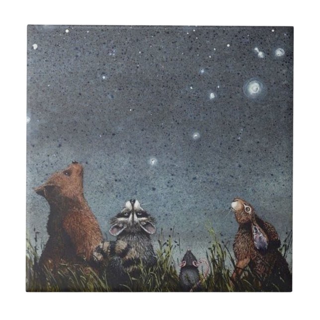 Ceramic Tiles - Woodland Animals Night Stars (Front)