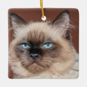 Céramique Ornement en porcelaine de chat de Siamese