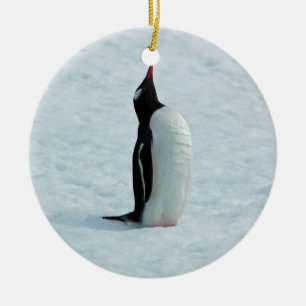 Céramique Pingouin de Gentoo en ornement de l'Antarctique