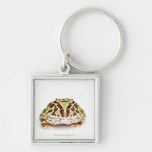 Ceratophrys Cranwelli, Cranwell's Horned Frog, Keychain