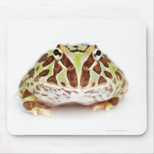 Ceratophrys Cranwelli, Cranwell's Horned Frog, Mouse Pad