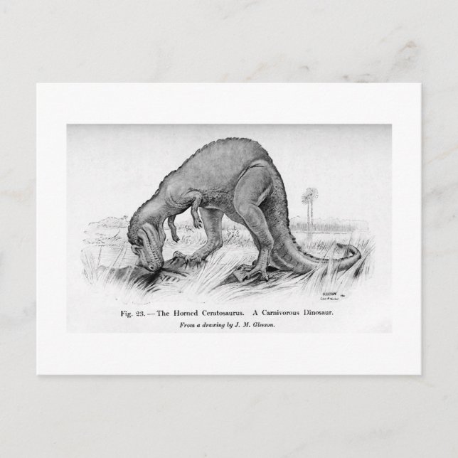 Ceratosaurus art postcard (Front)