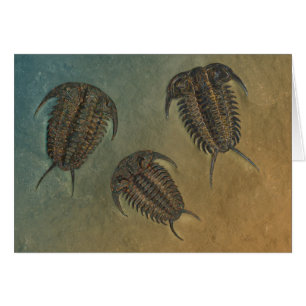 Ceraurus  and Leviceraurus