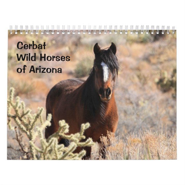 Cerbat Wild Horses Calendar (Cover)
