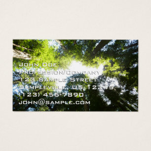 Cercle de séquoias à Redwood National Park