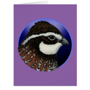 Cercle de tête de caille Bobwhite