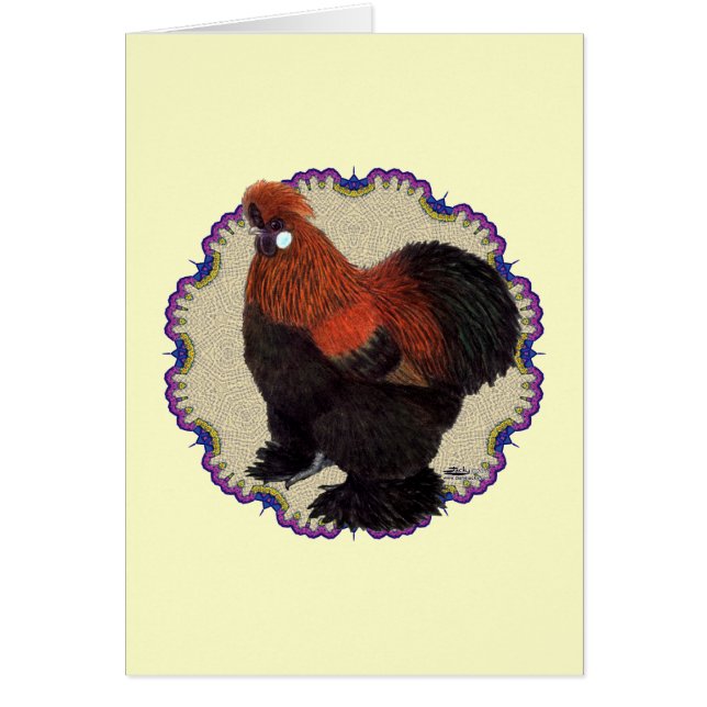 Cercle Silkie (Devant)