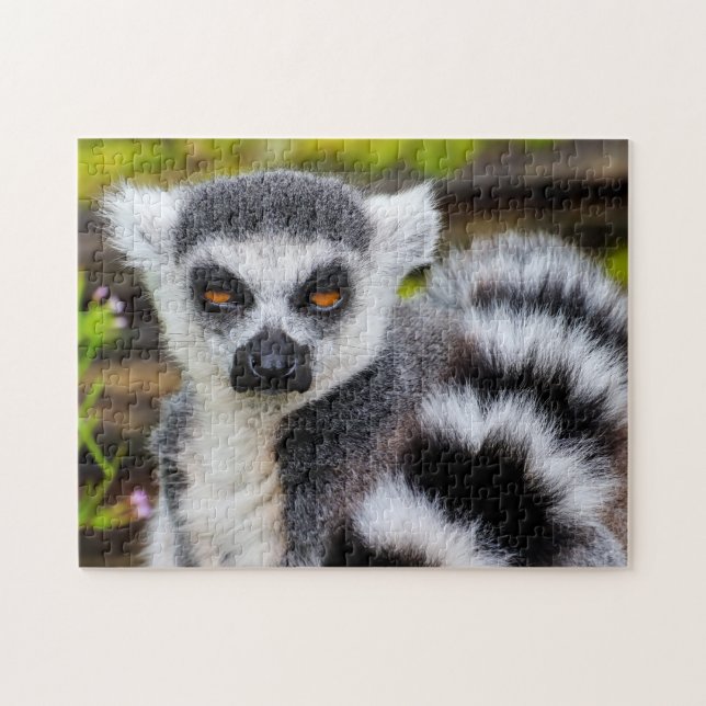 Cercle Tail Lemur, Puzzle (Horizontal)