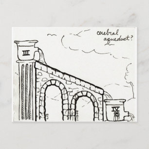 Cerebral Aqueduct postcard