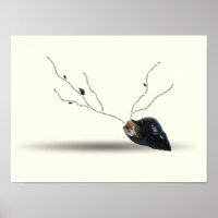 Cerebration Existential Inspiration Snail Seashell