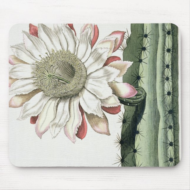 Cereus Erectus Altissimus Syrinamensis from 'Phyth Mouse Pad (Front)