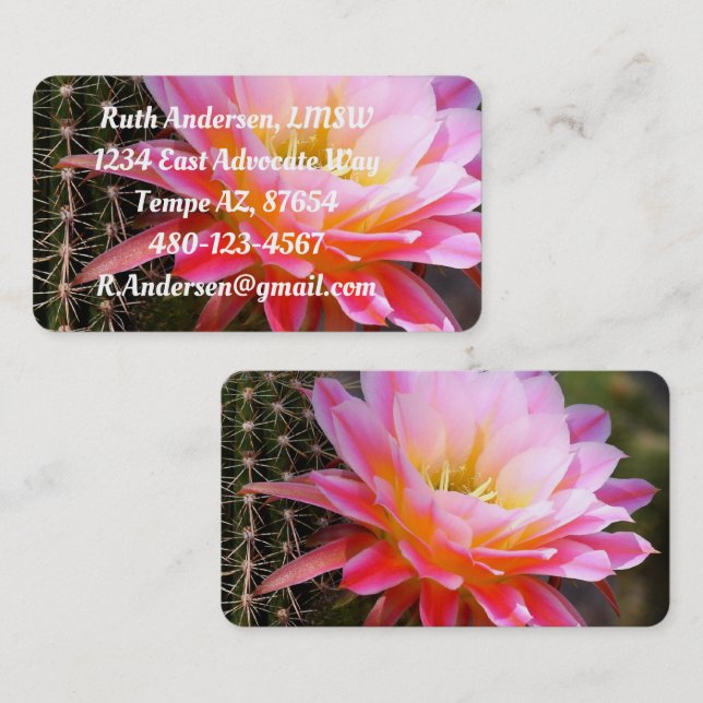 Cereus in pink cactus bloom business card (Front/Back)