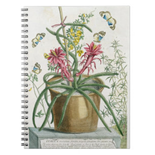 Cereus Minimus, c.1745 (coloured litho) Notebook