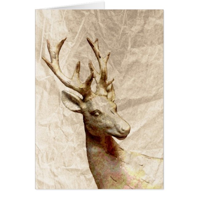 Cerf (Devant)