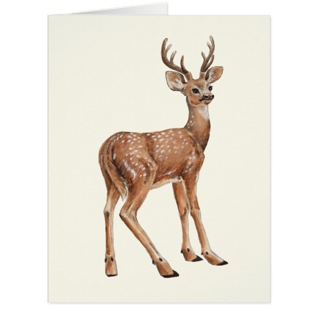 Cerf (Devant)