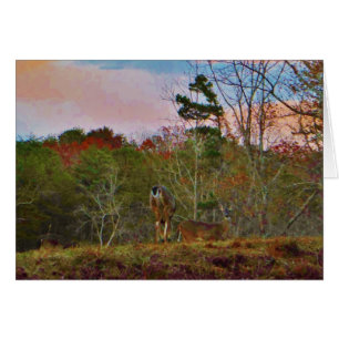 Cerf avec ciel bleu rose