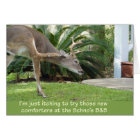 Cerf avec une démangeaison