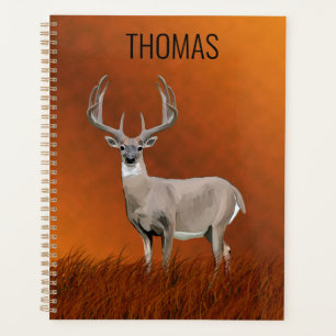 Cerf blanc dans les Prairies