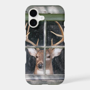 cerf dans la fenêtre