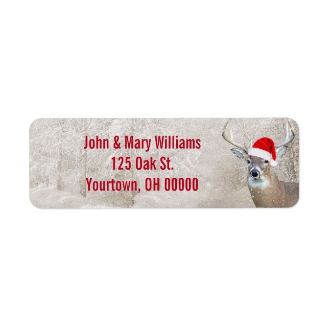 Cerf de Noël avec chapeau de Père Noël (Devant)