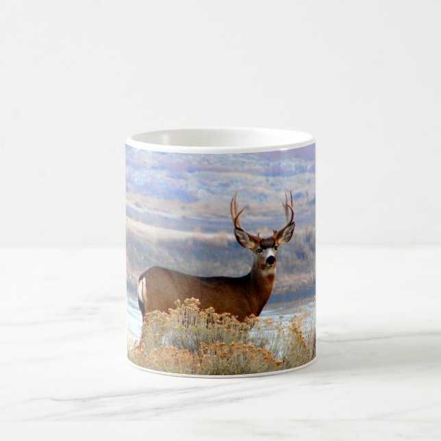 Cerf de Virginie par la tasse de café du fleuve (Centre)